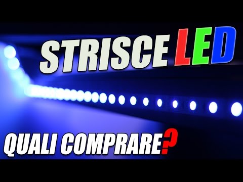 Nome di un parassita e segni di un parassita Vermi della persona di una fotografia con la descrizione
