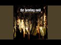 Silence and the Setting Sun - The Howling Void - Topic Silence and the Setting Sun