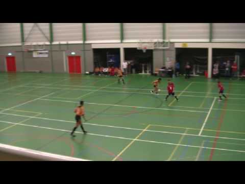 HOVO C1 Palestra 2 2 & S T Freestyle