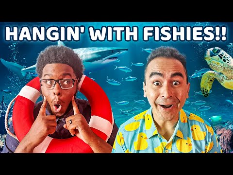 Witness21 Editor  2024 01 26