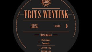 Frits Wentink - Spasmodic - (PREVIEW)