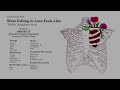 What Falling In Love Feels Like Jake25 17 Symphonic Suite
