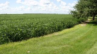 preview picture of video 'Feldpausch Family Farm Soybean Time Lapse'