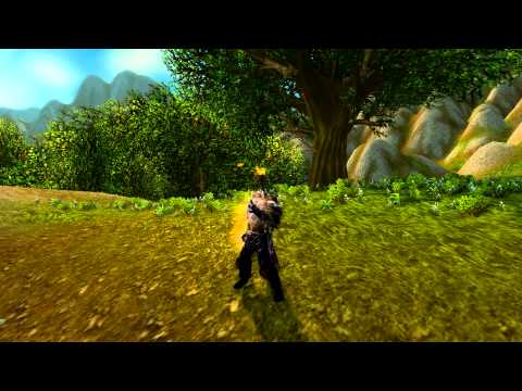 MoP Beta: Paladin Divine Shield Animation