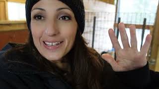 WE'RE PREGNANT! SEE THE ULTRASOUND OF OUR BABIES!| VLOG