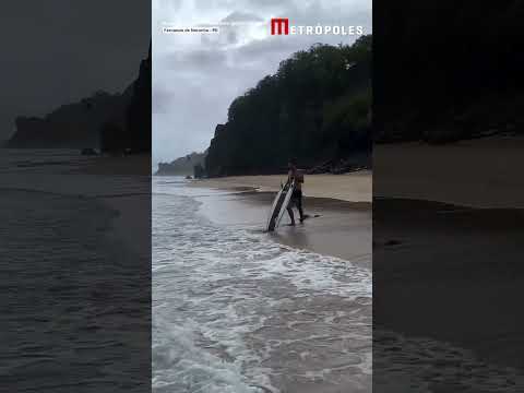Praia com tubarões em Fernando de Noronha viraliza após ataques no PE
