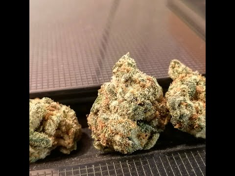 Review SQDC #19: Le Grapefruit GG4 (Grapefruit +Gorilla Glue #4) de SOUVENIR! 💨💨💨