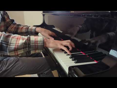 Placation 2 Piano Performance Video