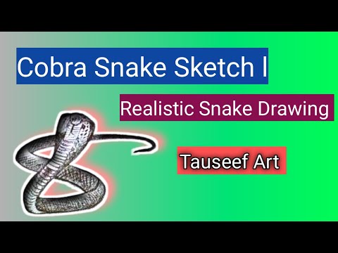 "Cobra Snake Sketch | Realistic Snake Drawing |  Tauseef Art 🐍"#pencildrawing #pencildrawing 