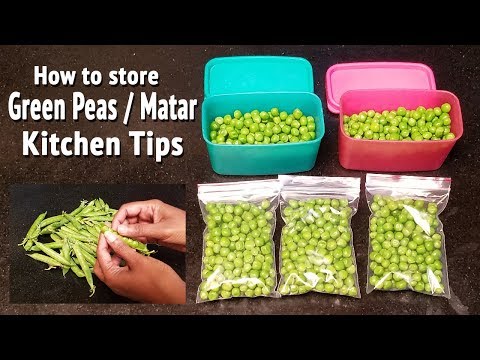 download lagu mp3 mp4 How Long Can You Keep Fresh Peas In The Fridge, download lagu How Long Can You Keep Fresh Peas In The Fridge gratis, unduh video klip How Long Can You Keep Fresh Peas In The Fridge
