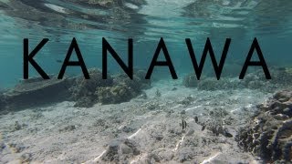 preview picture of video 'Kanawa [Komodo National Park]'