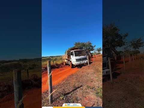 O trabalho não para.