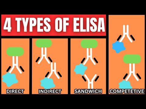 4 Types of ELISA (Direct, Indirect, Sandwich, Competitive)