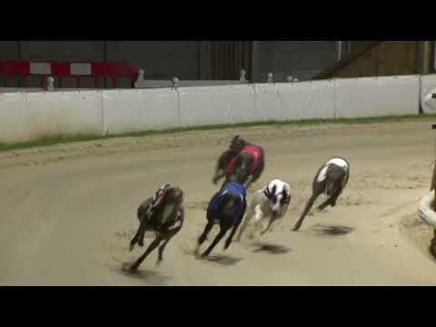 2021 CHAMPION STAKES FINAL - NIGHT TIME DANNY