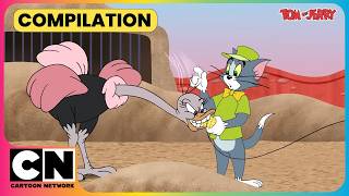 Download lagu Tom's Zoo Has A Jerry Problem!😹🦁| Tom and Jerry😺| National Wildlife Day | Kids Cartoon😁| @cnindia​ mp3