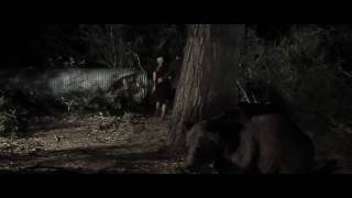 Bear (2010) Video