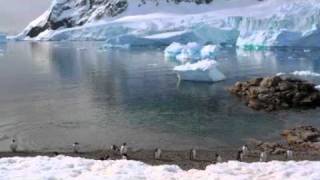 Cruise to the Antarctic