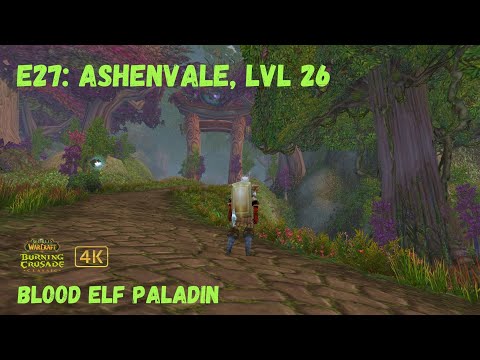 World of Warcraft: TBC Classic | Episode 27 - Blood Elf Protection Paladin Leveling Gameplay!