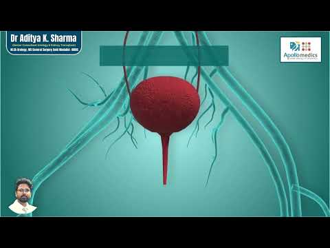 Kidney Infection Pyelonephritis | Dr. Aditya K. Sharma
