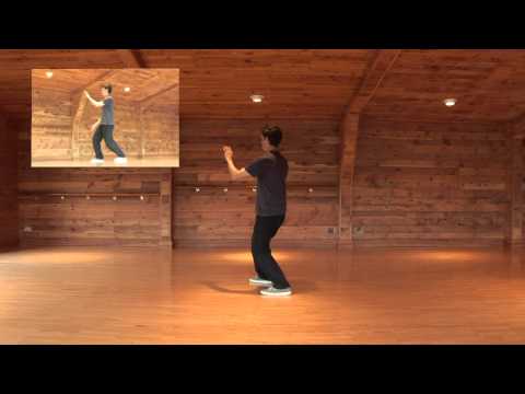 Tai Chi Form: 9 - Embrace Tiger, Return To Mountain