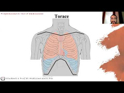 Lezione di Anatomia 05 - Sistema Cardiocircolatorio - Dott. Nicolò Loddo