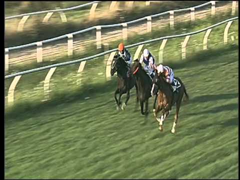 Galoppo 25/07/2015 - 1° corsa