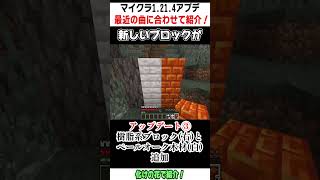 【Minecraft】1.21.4アップデート(2024/12/4)について替え歌で紹介！#Shorts #紹介