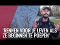 Veel poep en mooie plaatjes in de Pijp door zwermen spreeuwen