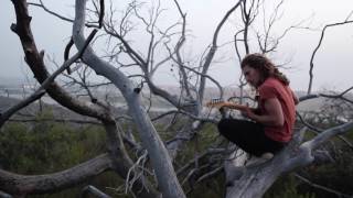 water from the moon - dissolve