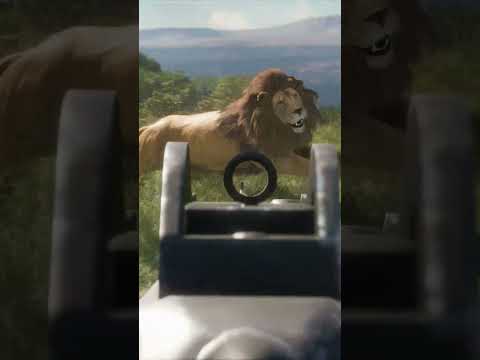 NEVER hunt lions with a dog 🦁🔫 | theHunter: Call of the Wild