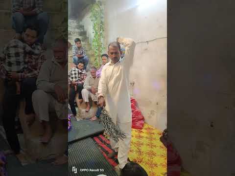 🙏 Peer Ka Jagran vol-3