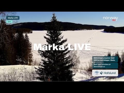Marka LIVE