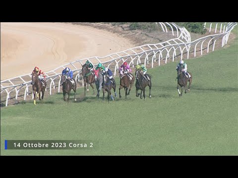 Galoppo Corse  del 14 Ottobre 2023