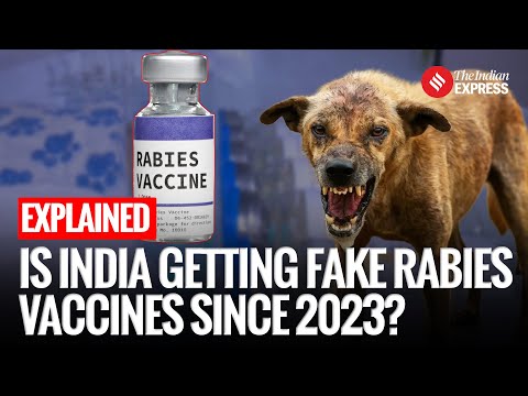 Express Explained: How Did Fake Rabies Vaccine Circulate in India Since 2023?