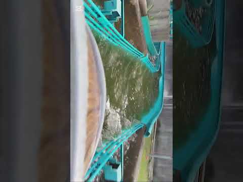 Walibi Belgium FLASH BACK-on ride (pov)