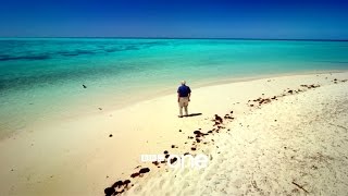 Great Barrier Reef with David Attenborough: Trailer - BBC One