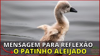 Mensagem para Reflexo - O Patinho Aleijado