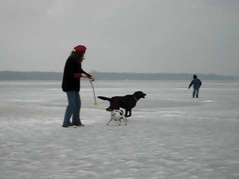 Frozen Lake Zwischenahn (3)
