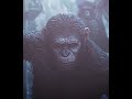 CAESAR APES EDIT  |  IF MUST  |  DAWN OF THE PLANET OF THE APES (2014) #dawnoftheplanetoftheapes