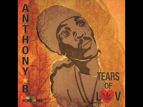 Anthony B -  Hold Again  2015