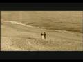 U2 Love is Blindness 