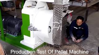 How Does the Bentonite Cat Litter Pellet Machine Make Pellets?