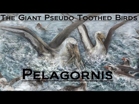 Prähistorische Aufschlüsselung: Pelagornithiden