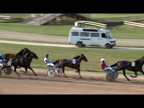 2022.08.27. 08. futam - 2022. ÉVI KINCSEM PARK KUPA VII. FUTAMA HENDIKEP