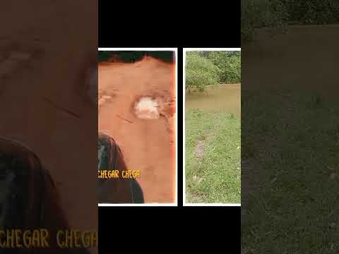 # Rondolândia Mato Grosso#Riobanco