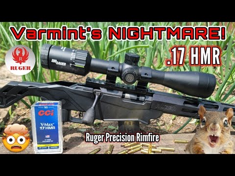 Ruger Precision Rimfire .17 HMR... Mind Blowing 🤯 On Small Game!