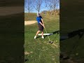 David Noel's Latest Golf Video November 2020