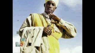 Mr Vegas, Cecile, Elephant Man, Sizzla and More... (Double Jeopardy Riddim mix by djfame).avi