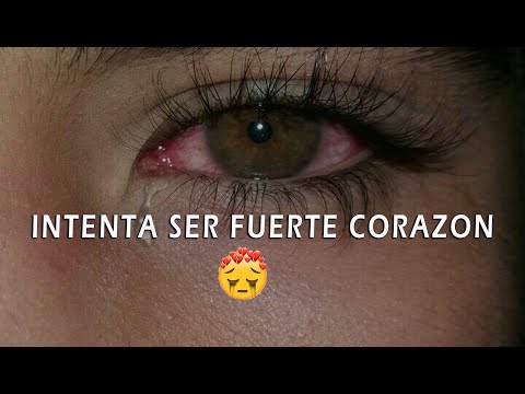 SE FUERTE CORAZÓN💔😣EL RAP QUE TE HARA LLORAR😥👌 Mauge Ft Elias Ayaviri