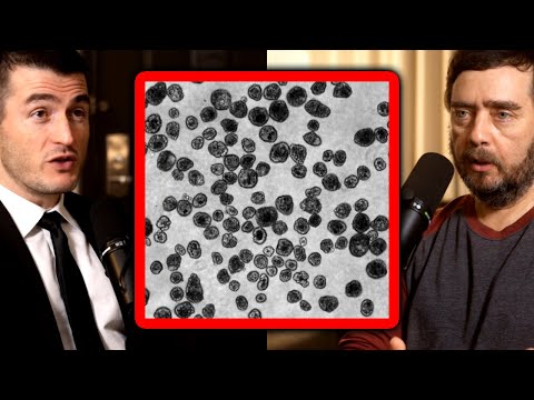 Creating life in the lab - Xenobots and Anthrobots | Michael Levin and Lex Fridman